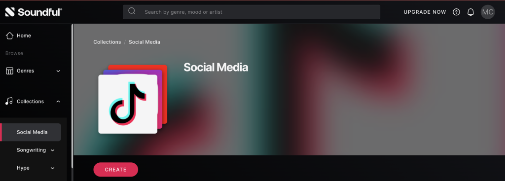 Soundful's Social Media overview